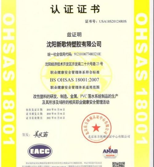 BS OHSAS 18001